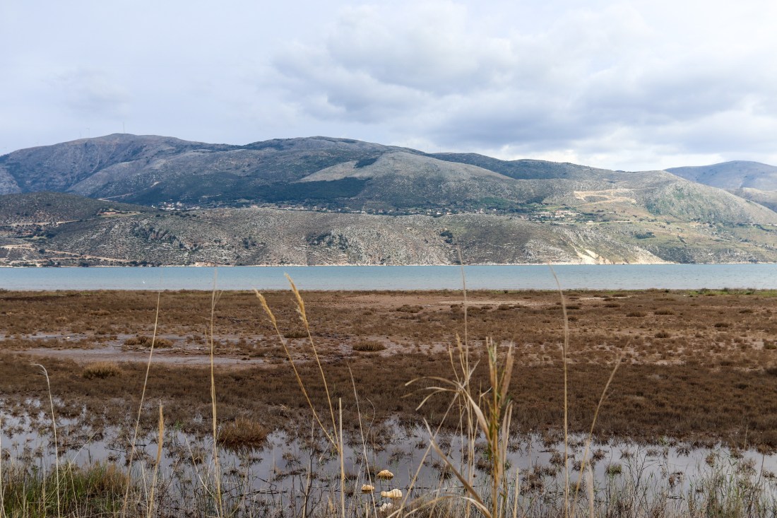 2E260EBB-2F90-40C9-B79E-410E7D48ED1B