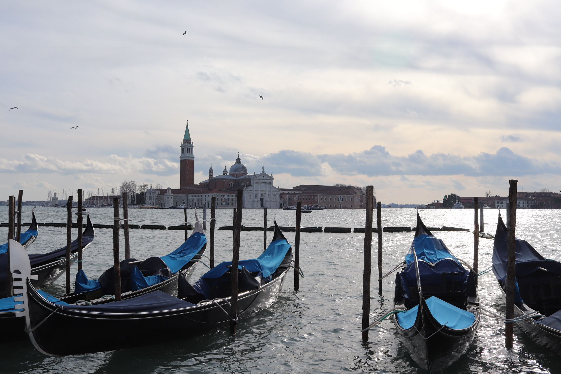 3C927AB0-521A-41D3-B677-379A7CB0FB22