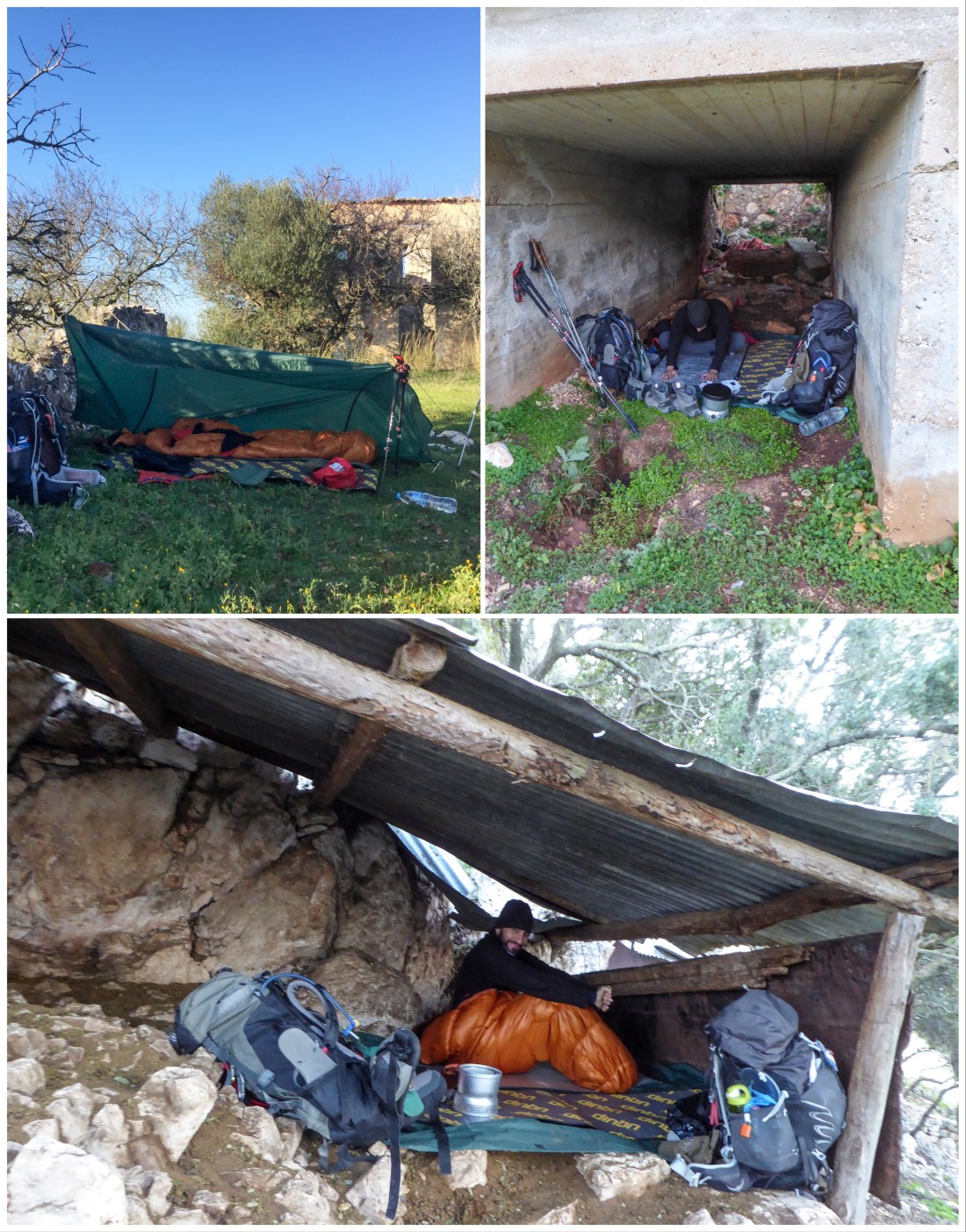 C2B54D29-F3FB-4936-AACD-58FC9476D7E1