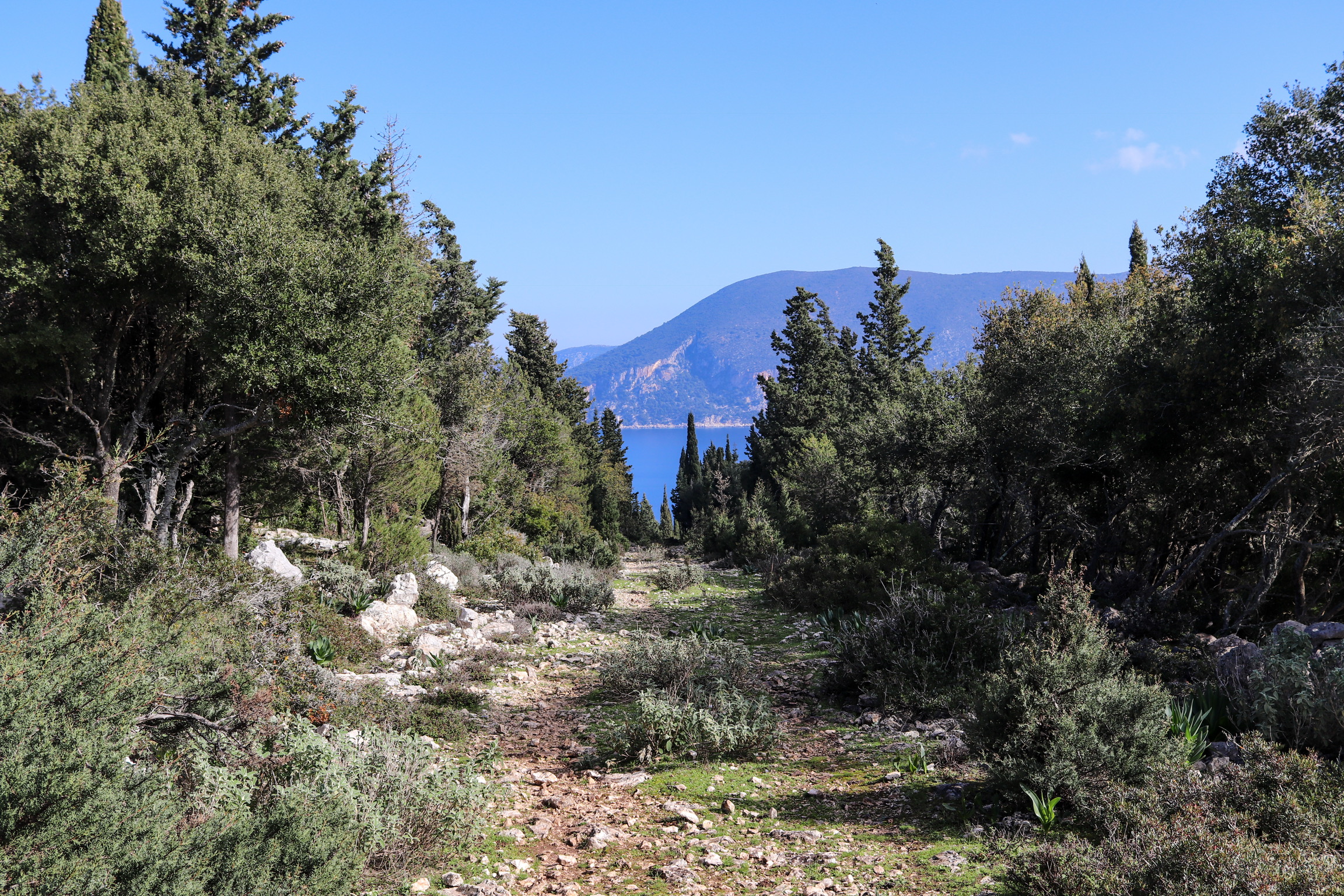 D966D87D-5F5D-438F-9395-47063D613364