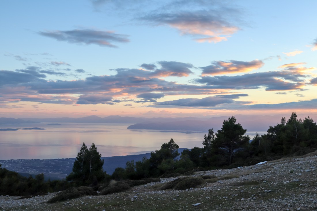 FEEF3295-27B1-4431-9863-88D59E46B0A8