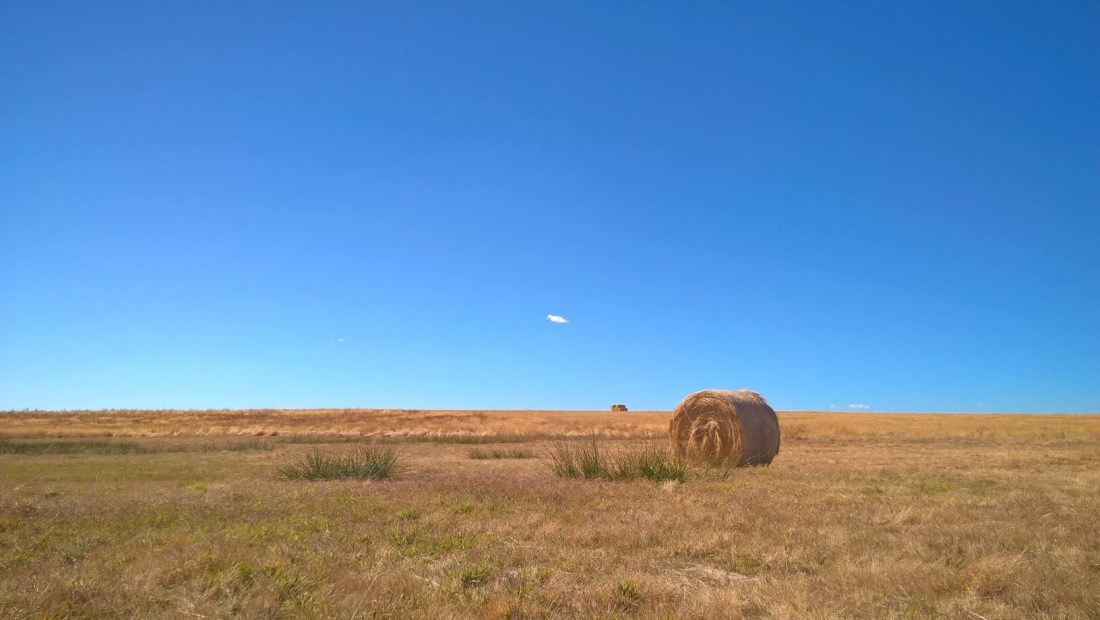 CA01FC49-4DF5-406D-BD74-7D9A1635183A