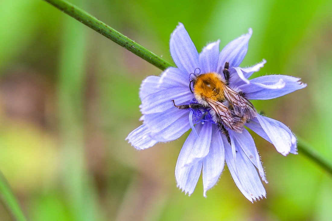 UP week 10 Misterbug