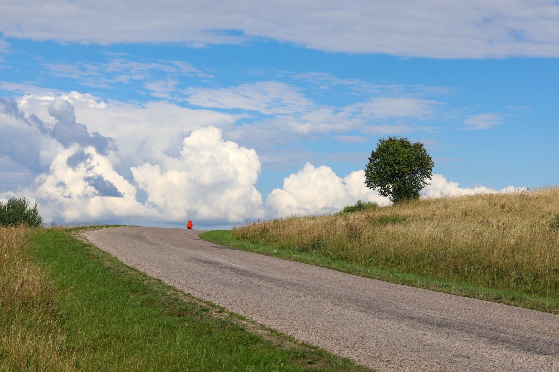 UP week 10 Walk the ho