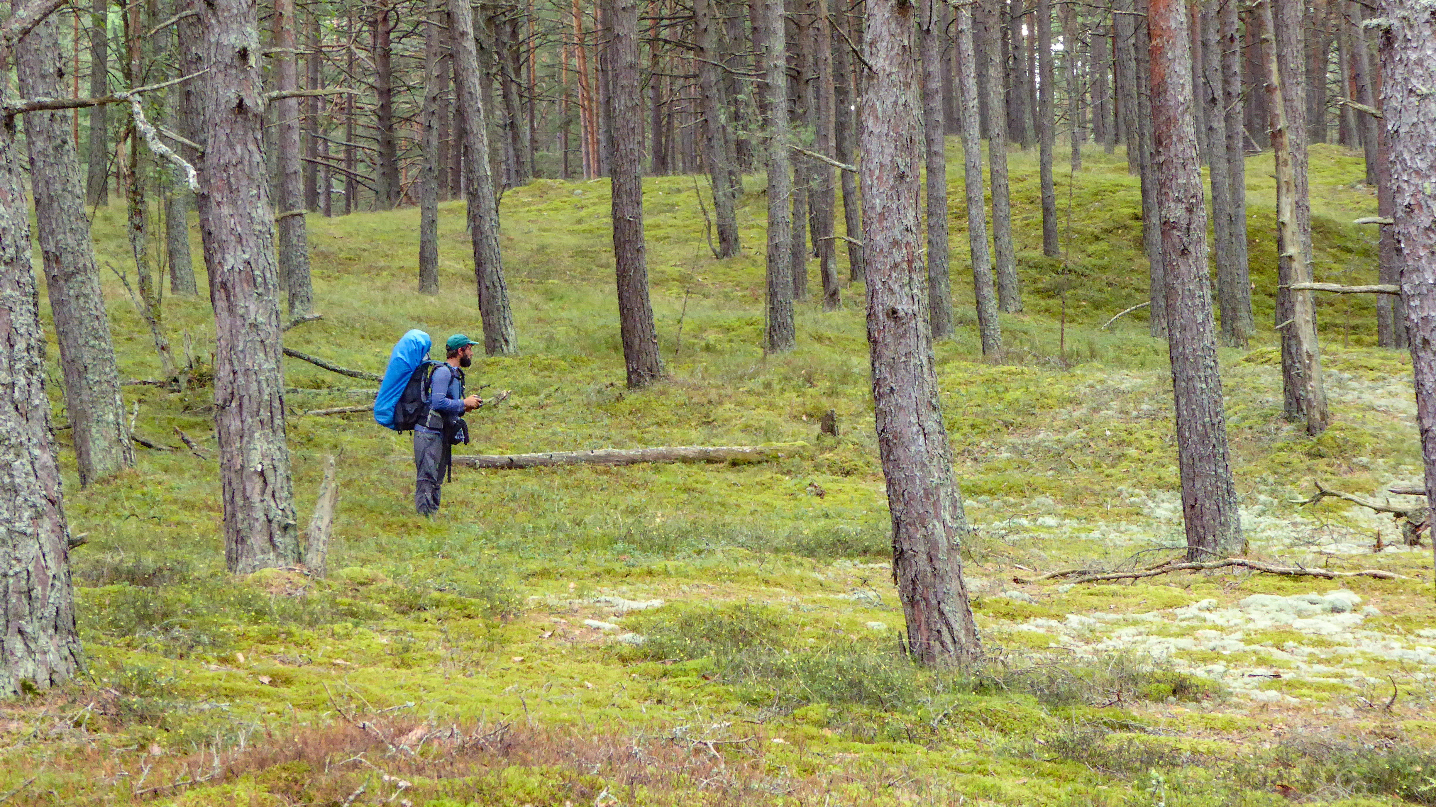 UP week 16 Where am I