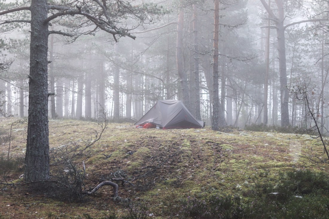 UP week 18 Into the mist