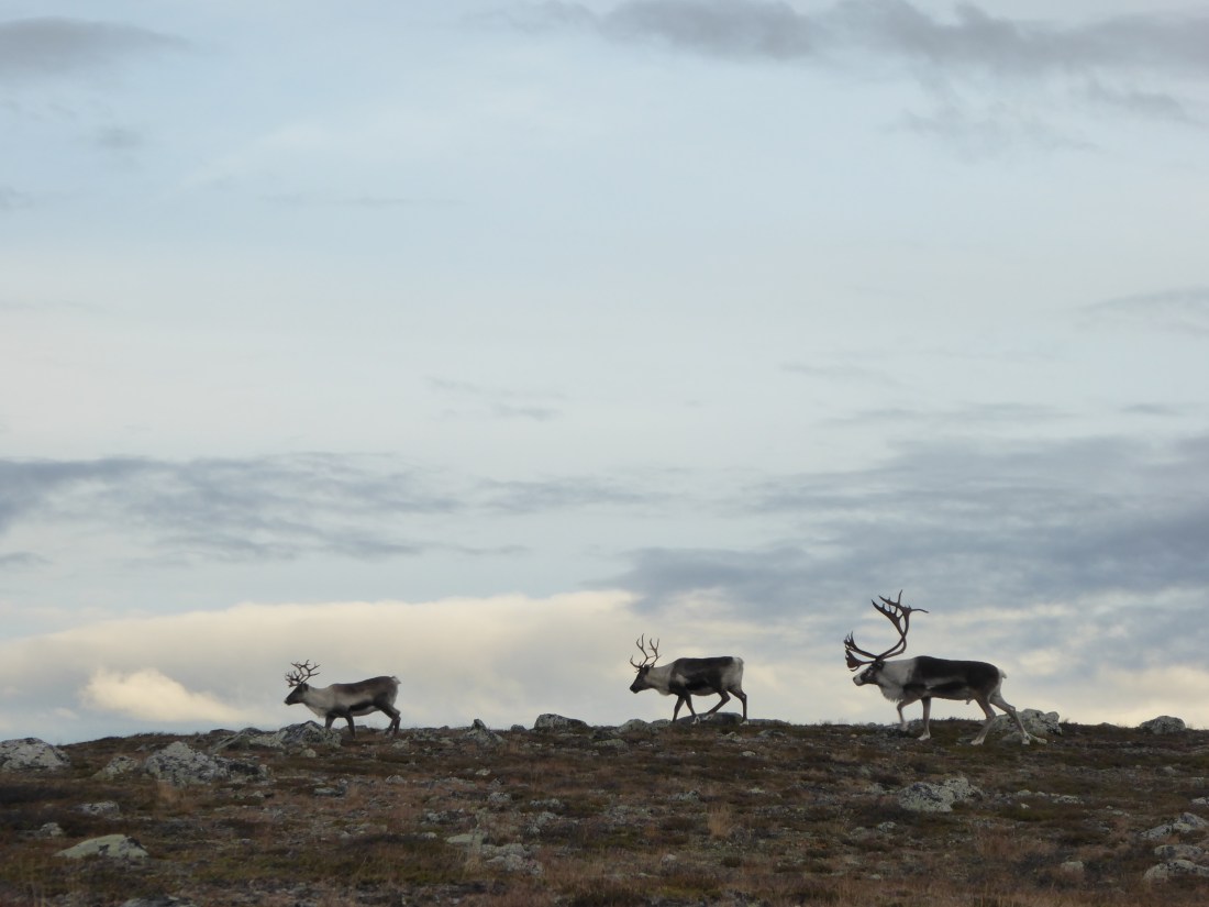 3DD9D37C-78D7-4902-96C4-D3590CB7ABBD