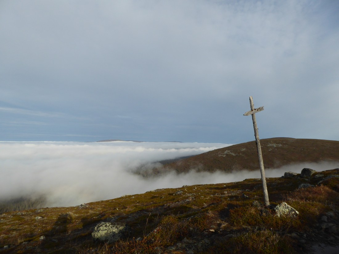 A66EC6B7-9A85-4E17-9415-0A4AACFE4D82