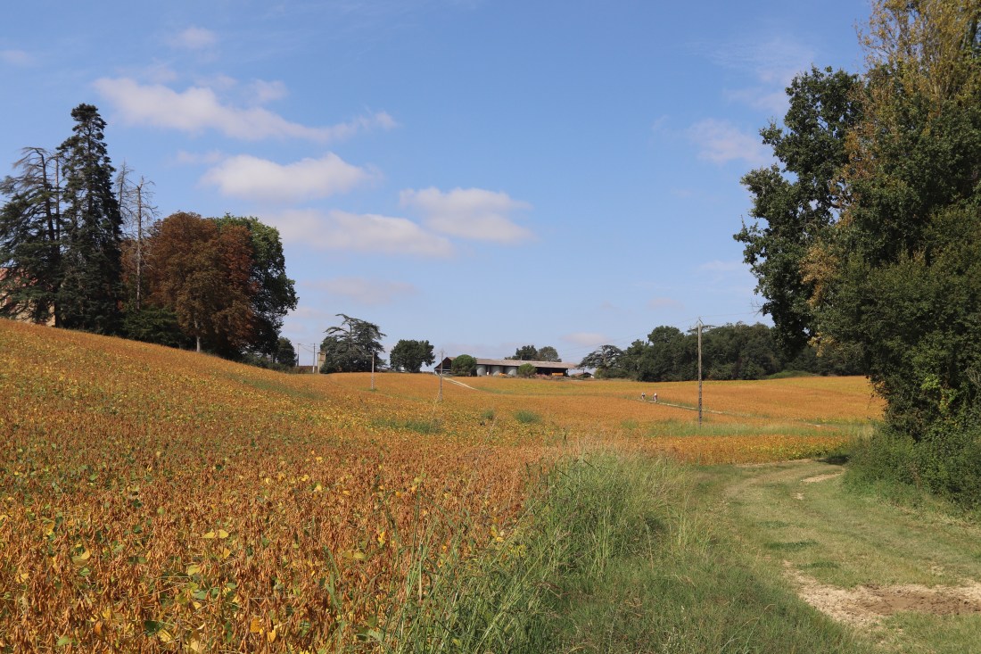 10795490816_img_7625