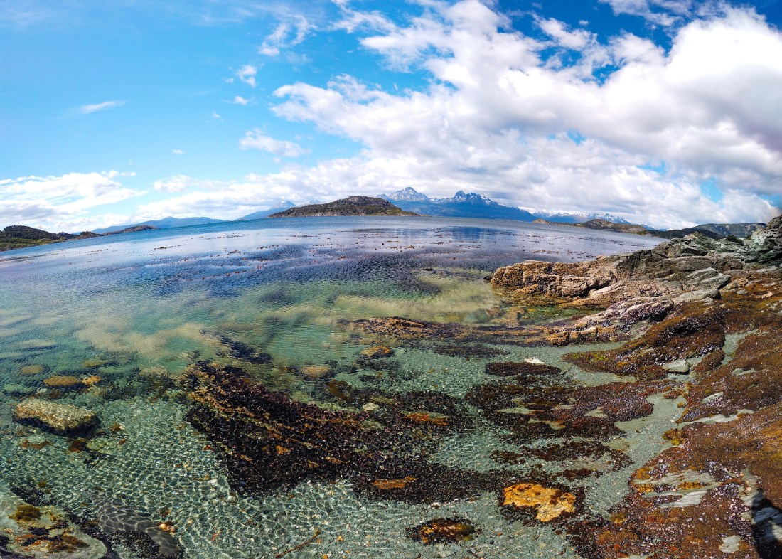 0A227BF4-A07A-47CB-8909-9E6AE66B2F00