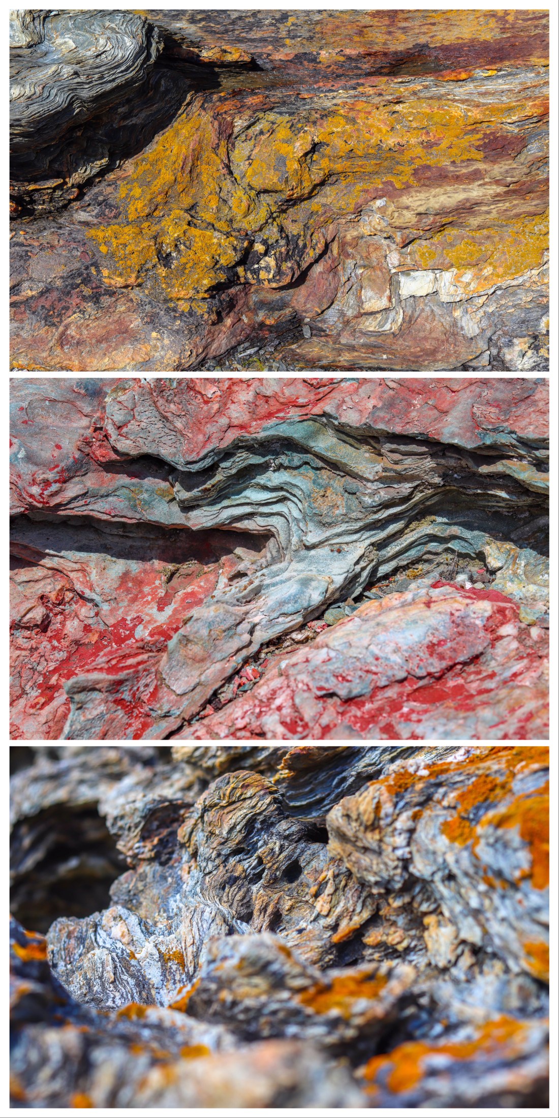 B9428BD7-7E9B-4120-BEB7-D4C7EFFC5672