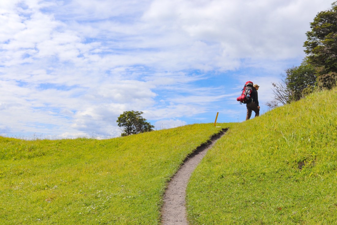 BDCB9E58-CD75-459E-B1F3-DFB37DDF937C