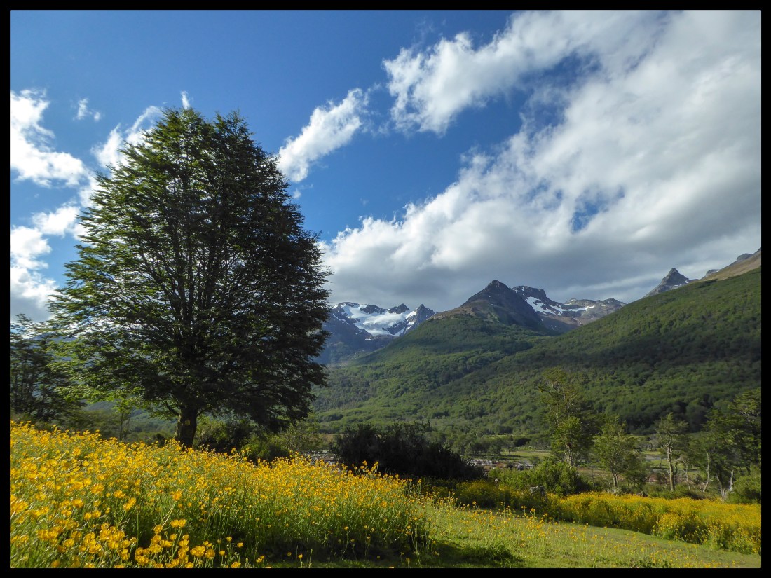 DF059675-FF4C-4466-B068-C96385AE43DE