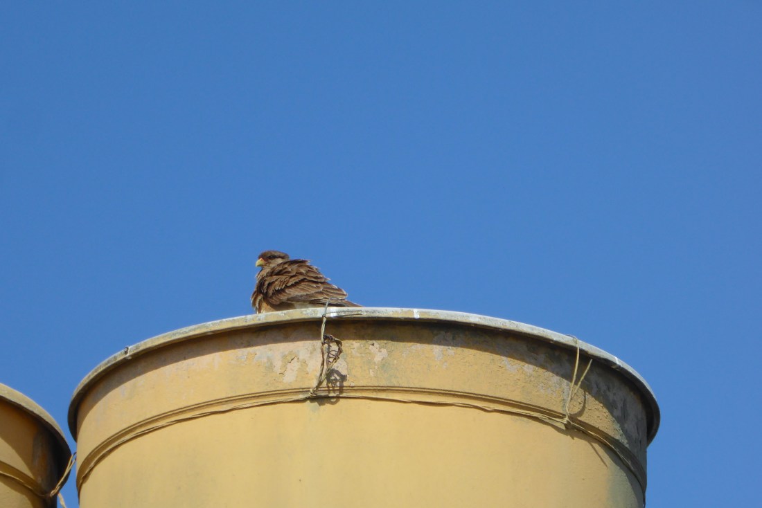 1F8841DE-EA32-44CA-9647-4D08BEA3C64E