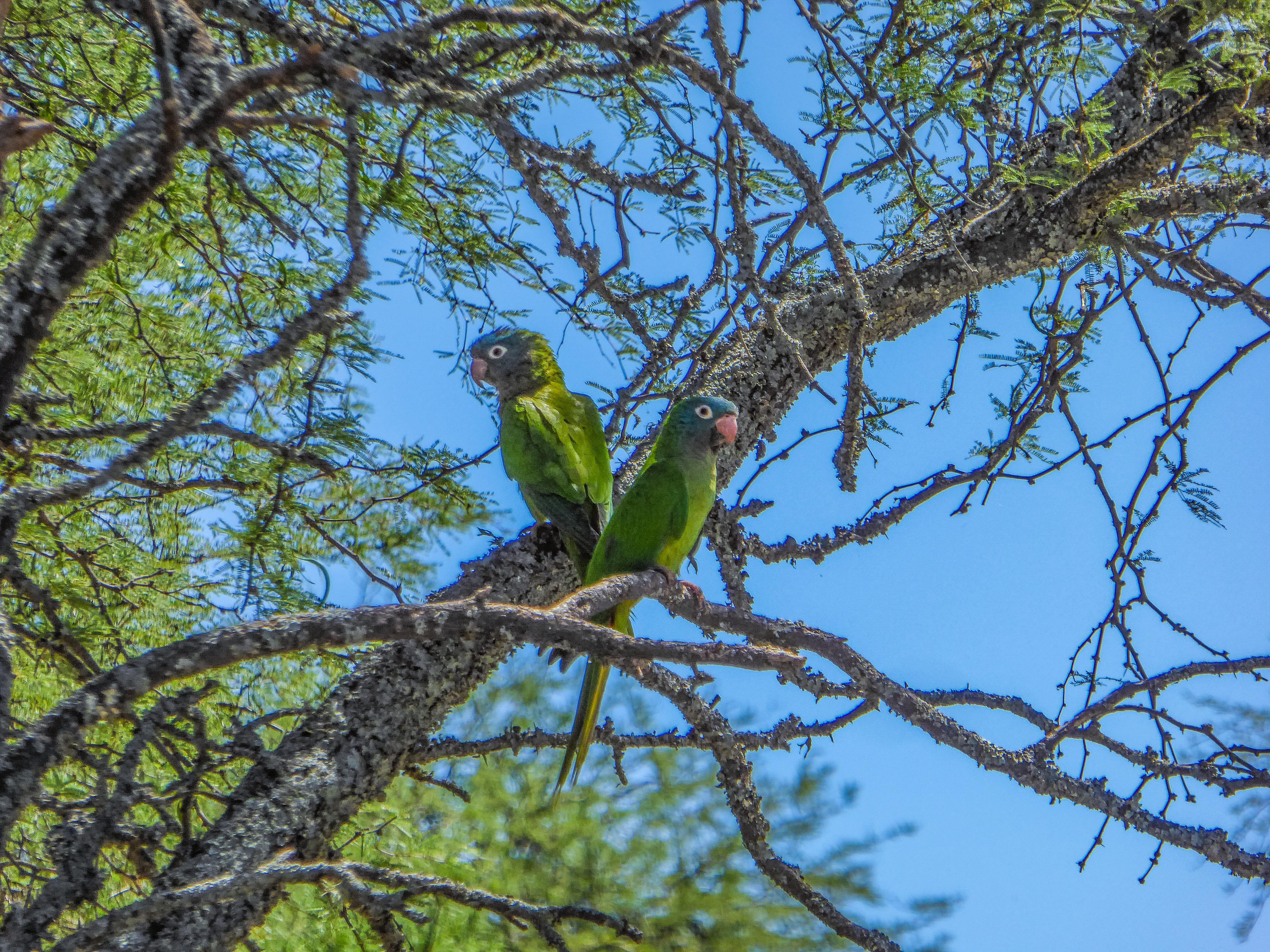 37304535-8898-4E1A-934B-857DDCE5E080