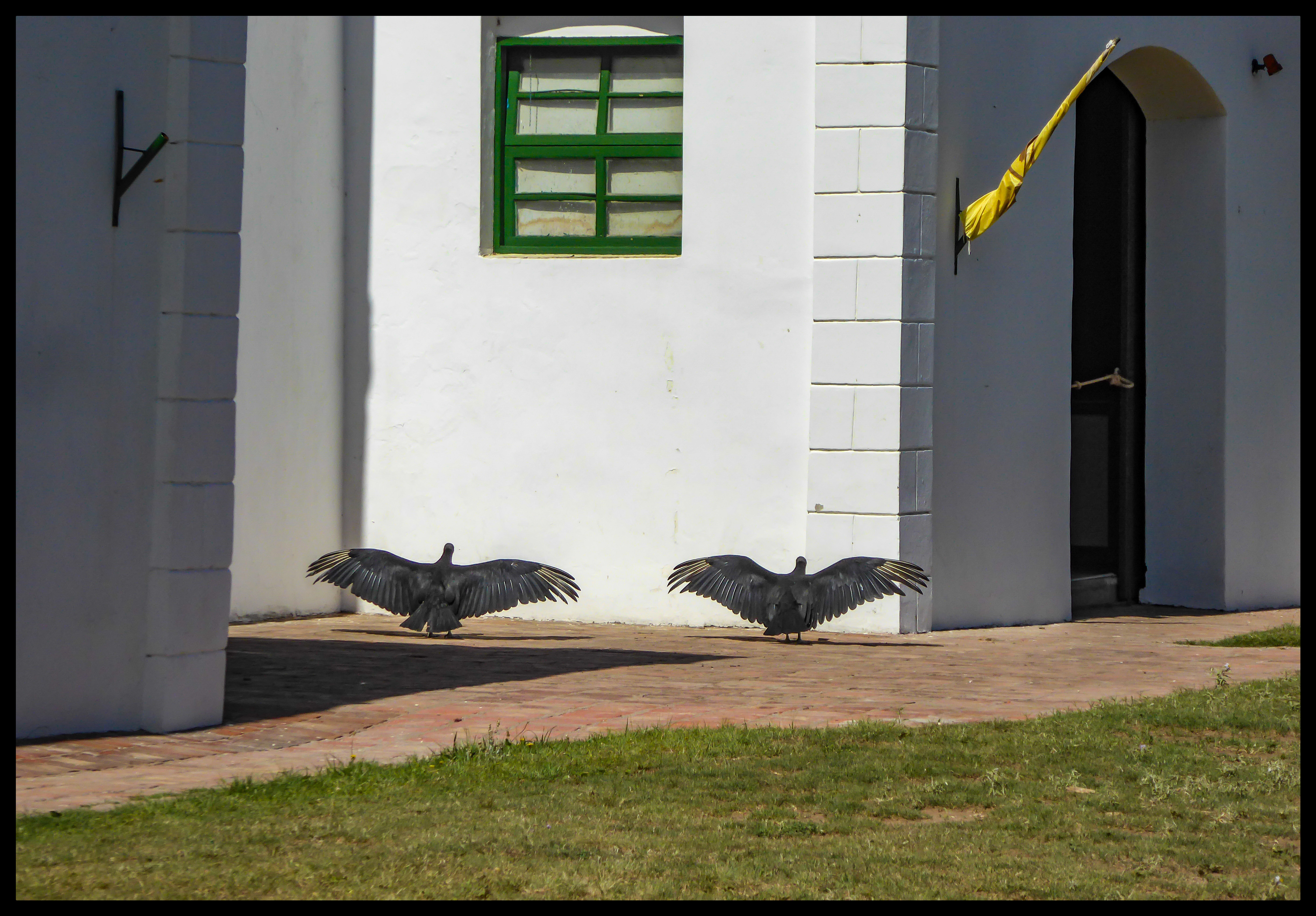 56A52D02-11BF-46D6-B4C3-AC4227562016