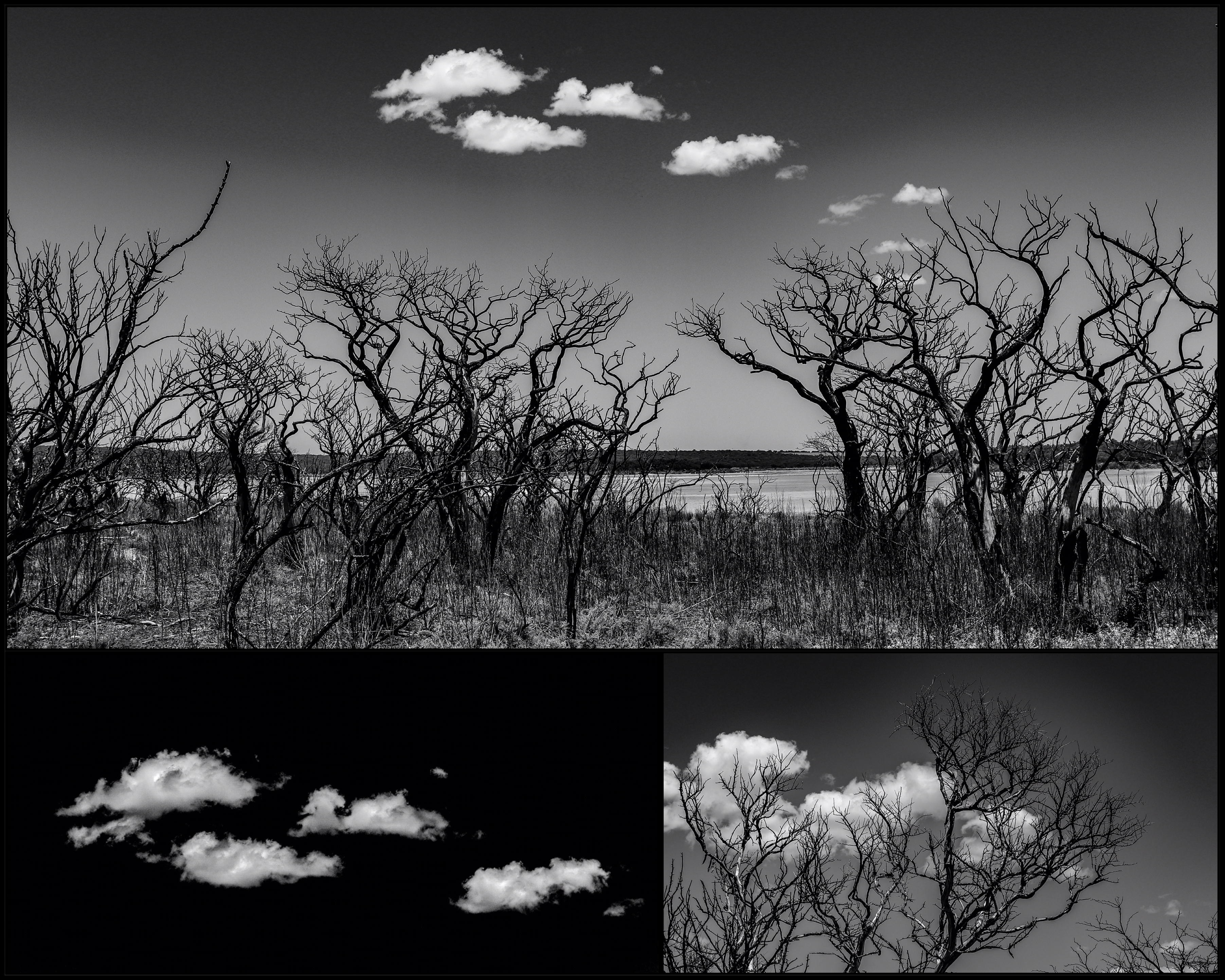 6B308911-B51E-4BB8-9751-ECA168D1FEEF