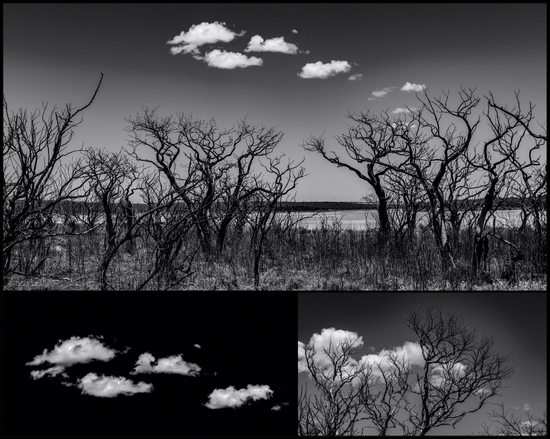 6B308911-B51E-4BB8-9751-ECA168D1FEEF