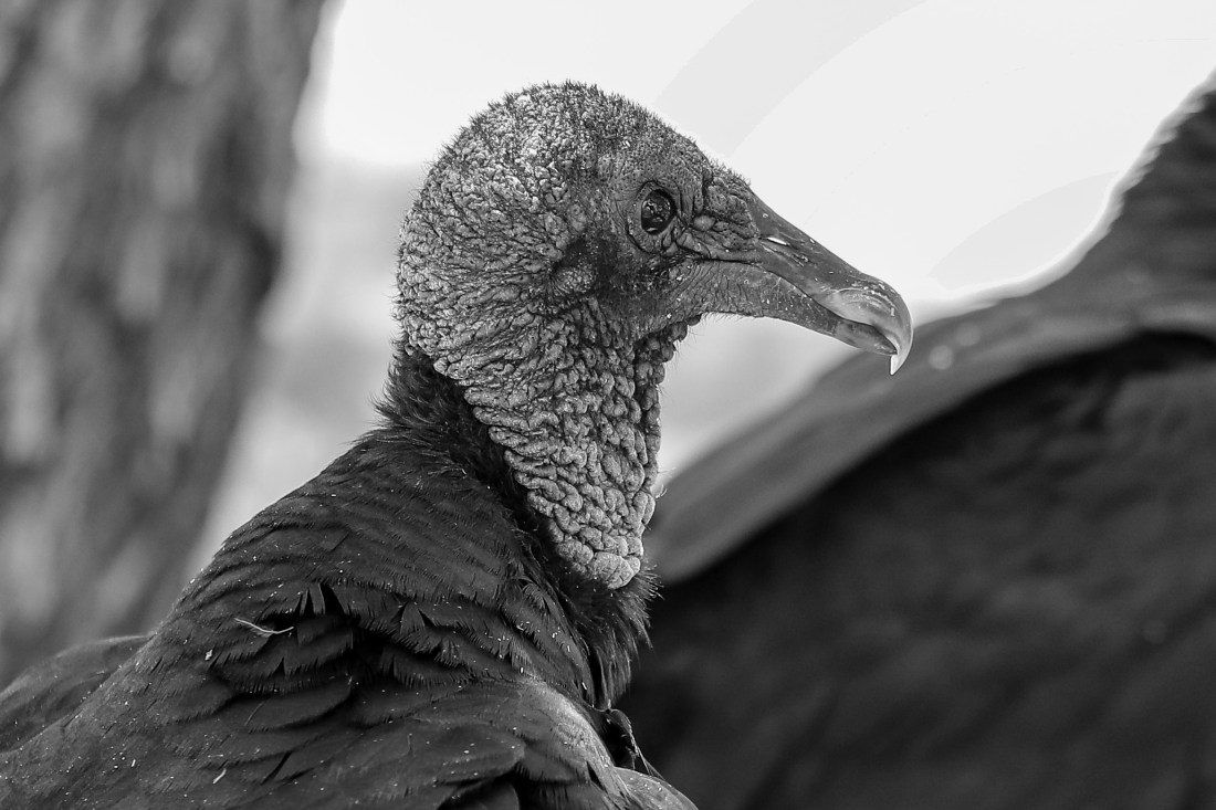 7FB94180-5701-40D8-8CF7-0148B4D816B6