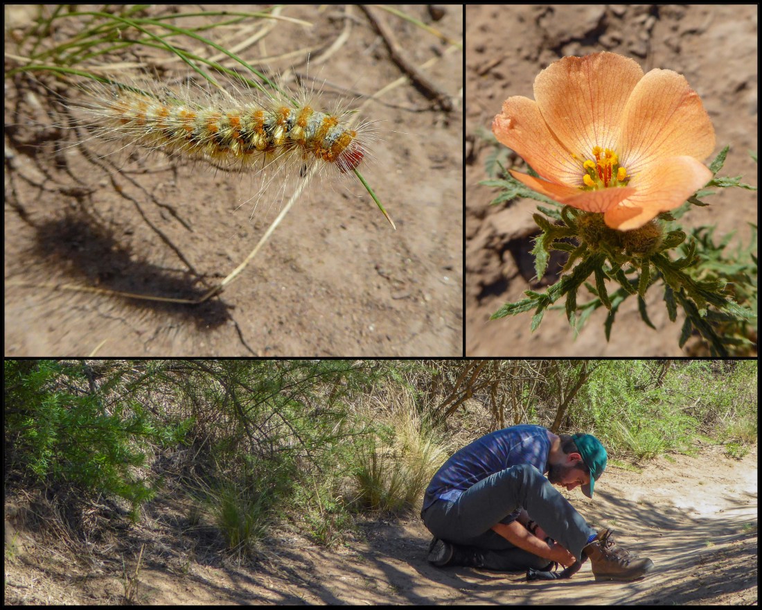 F744145E-3305-4C66-9BEC-13EB7318F250