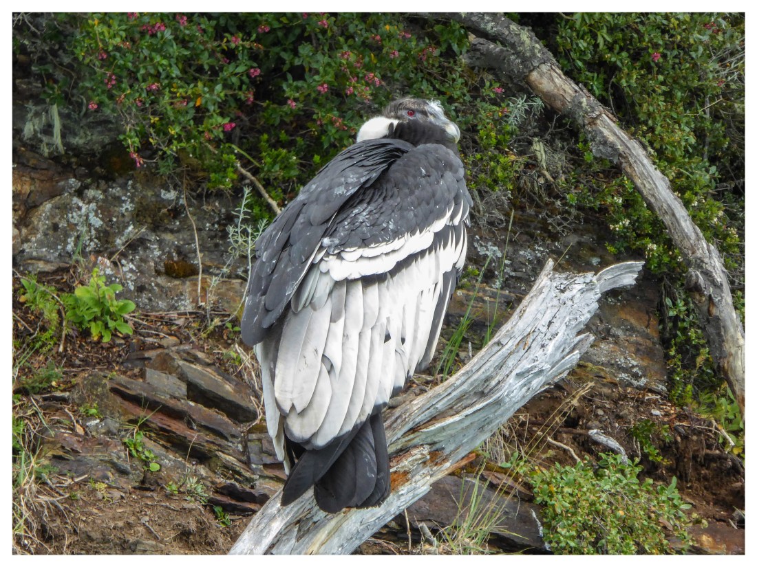 F983D5C8-6AA0-4EDD-AA32-843C3807A776