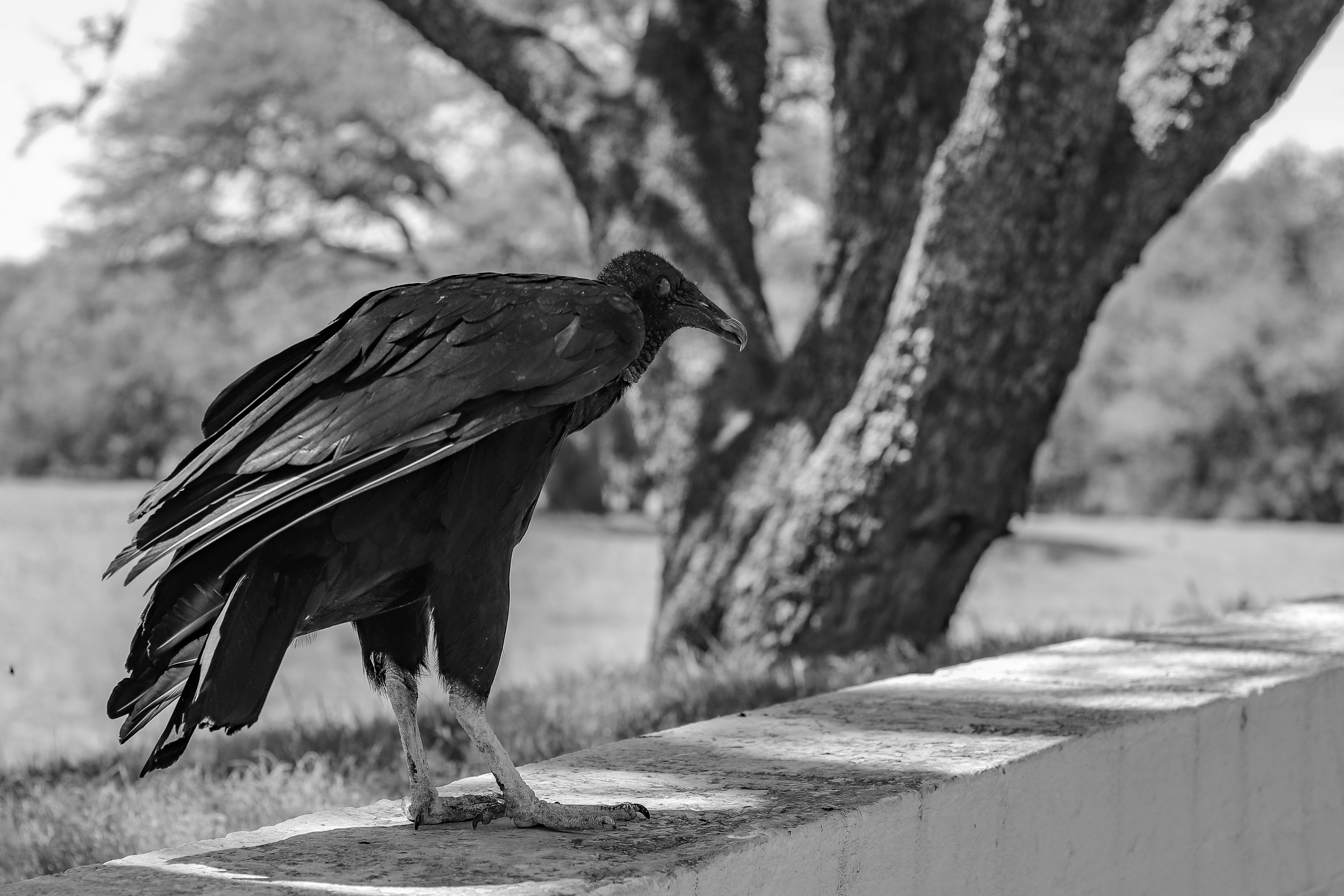 FAFA0B17-04A3-4B4C-B7D9-B801E23EF54A